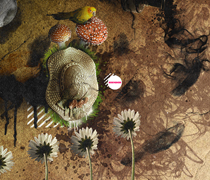 服务器攻击方式